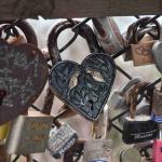 DSC_0151_1869 (November 05, 2025)