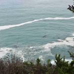 DSC_0153_1871 (November 05, 2025)