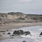 DSC_0158_1875 (November 05, 2025)