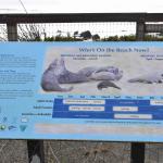 DSC_0160_1877 (November 05, 2025)