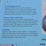 DSC_0161_1878 (November 05, 2025)