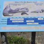 DSC_0162_1879 (November 05, 2025)