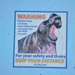 DSC_0163_1880 (November 05, 2025)