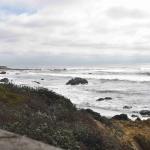 DSC_0165_1882 (November 05, 2025)