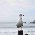 DSC_0166_1883 (November 05, 2025)