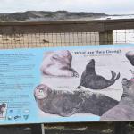 DSC_0168_1885 (November 05, 2025)