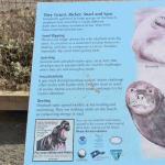 DSC_0169_1886 (November 05, 2025)