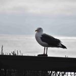 DSC_0173_1889 (November 05, 2025)