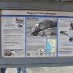 DSC_0174_1890 (November 05, 2025)