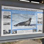 DSC_0175_1891 (November 05, 2025)