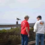 DSC_0176_1892 (November 05, 2025)