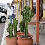 DSC_0177_1893 (November 05, 2025)