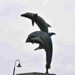 DSC_0180_1895 (November 05, 2025)