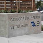 DSC_0181_1896 (November 05, 2025)