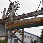 DSC_0189_1904 (November 05, 2025)