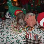 DSC_0112_2087 (December 15, 2025)