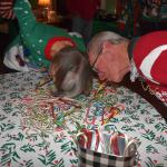 DSC_0113_2088 (December 15, 2025)