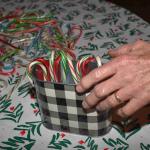 DSC_0117_2092 (December 15, 2025)