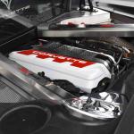 DSC_0030_1222 (August 20, 2025)