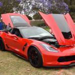 DSC_0021_766 (June 09, 2025)