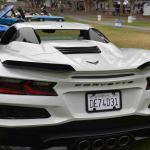 DSC_0028_773 (June 09, 2025)