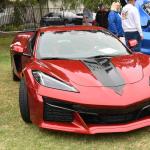 DSC_0030_775 (June 09, 2025)