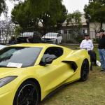 DSC_0031_776 (June 09, 2025)