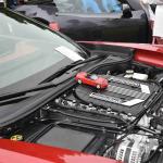 DSC_0032_777 (June 09, 2025)