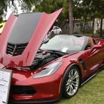 DSC_0034_779 (June 09, 2025)