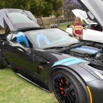 DSC_0035_780 (June 09, 2025)