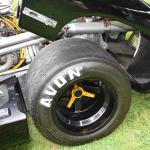 DSC_0051_796 (June 09, 2025)