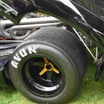 DSC_0052_797 (June 09, 2025)