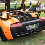 DSC_0053_798 (June 09, 2025)