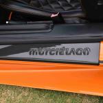 DSC_0054_799 (June 09, 2025)