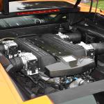 DSC_0055_800 (June 09, 2025)