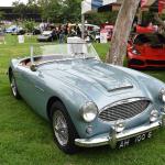 DSC_0061_806 (June 09, 2025)