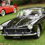 DSC_0065_810 (June 09, 2025)