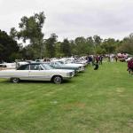 DSC_0070_815 (June 09, 2025)