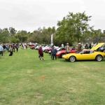 DSC_0071_816 (June 09, 2025)