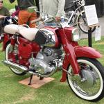 DSC_0076_821 (June 09, 2025)