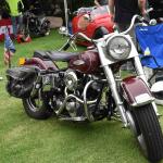 DSC_0078_823 (June 09, 2025)