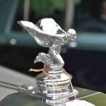 DSC_0082_827 (June 09, 2025)