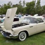 DSC_0084_829 (June 09, 2025)