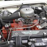 DSC_0085_830 (June 09, 2025)