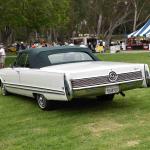 DSC_0086_831 (June 09, 2025)