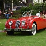 DSC_0091_836 (June 09, 2025)