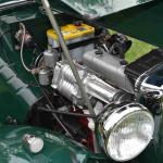 DSC_0093_838 (June 09, 2025)