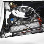 DSC_0099_844 (June 09, 2025)