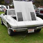 DSC_0100_845 (June 09, 2025)