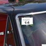 DSC_0103_848 (June 09, 2025)